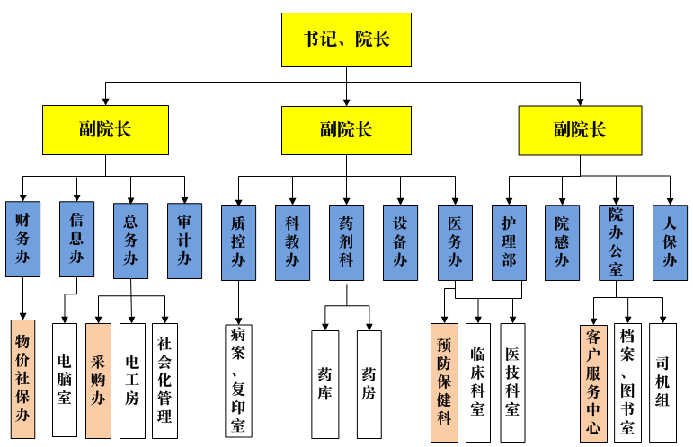 石排医院行政管理架构表