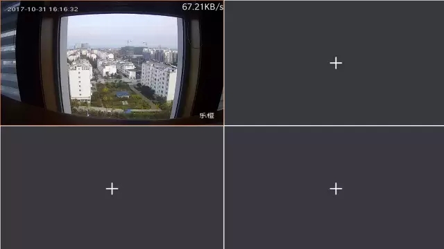 大華樂橙