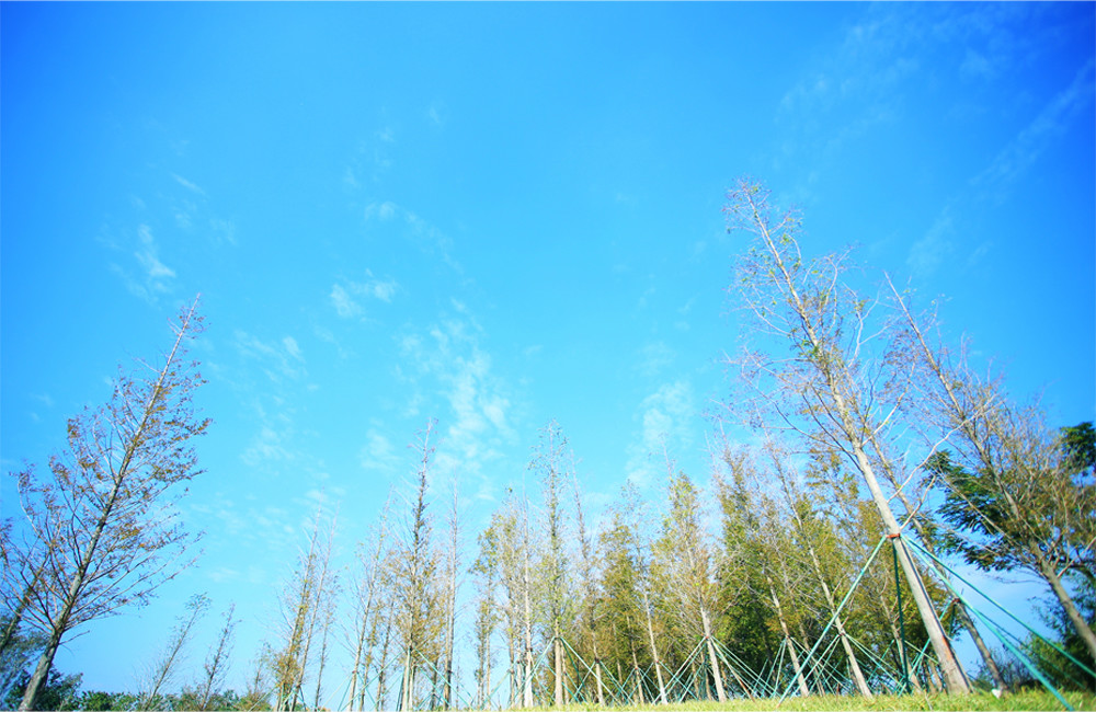 浙江温岭九龙湖生态湿地公园