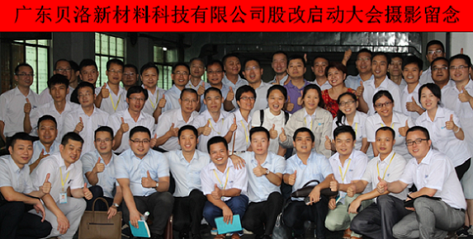 Initiation ceremony of company share reform