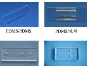 PDMS